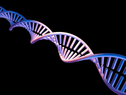 Dna molecule, computer artwork Stock Illustration