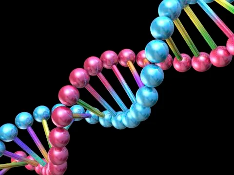 Dna molecule, computer artwork 스톡 일러스트