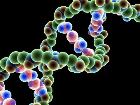 Dna molecule, computer artwork Stock Illustration