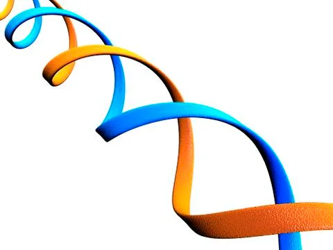 Dna molecule, conceptual artwork Stock Illustration