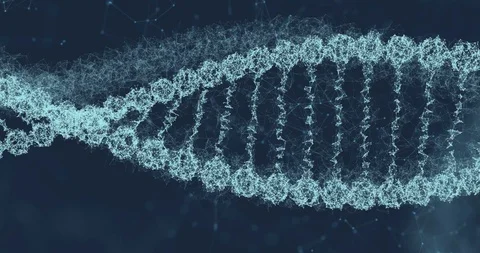 DNA molecule on ditigal blue background. Genetics concept. Animation of DNA Stock Footage 112163809
