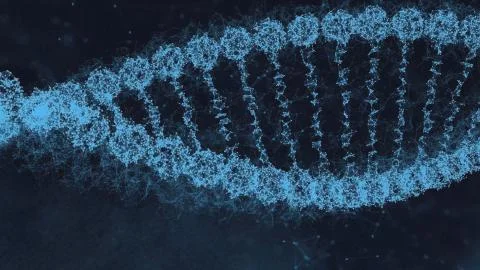 DNA molecule on ditigal blue background. Genetics concept. Animation of DNA Stock Photos