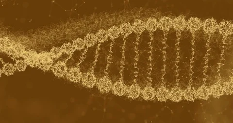 DNA molecule on ditigal gold background. Genetics concept. Animation of DNA Stock Footage 112164159