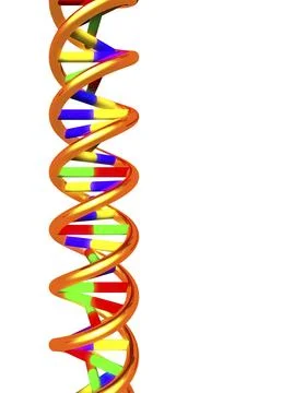 DNA molecule double helix 3D illustration isolated on white background Stock Illustration