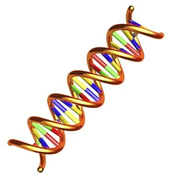 DNA molecule double helix 3D illustration isolated on white background Stock Illustration