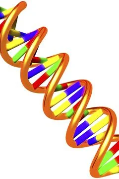 DNA molecule double helix 3D illustration isolated on white background Ilustración de archivo