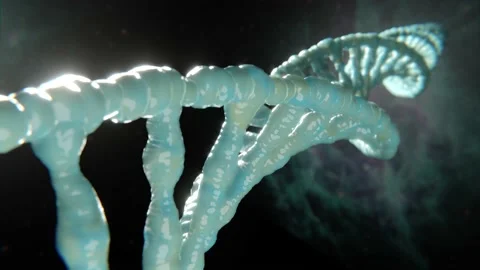 DNA molecule double helix: subject evolution or genetic engineering Vidéo 157619606