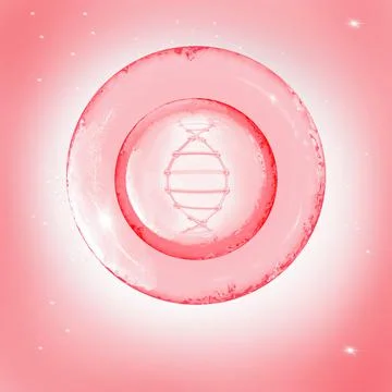 Dna molecule in egg cell. technologies in reproductive medicine. 3d illustration Stock Illustration