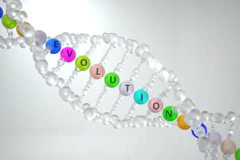 DNA molecule with EVOLUTION text. 3D rendering Illustrazione stock