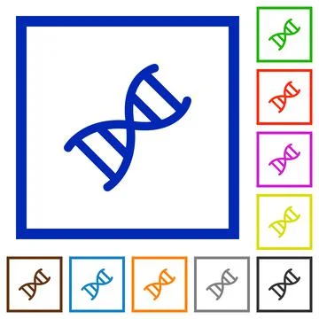 DNA molecule flat framed icons 库存插图
