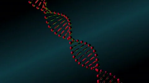 DNA molecule Stock Footage 261206