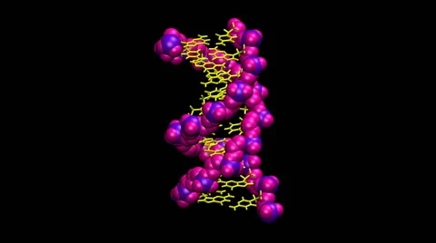 DNA Molecule Stock-Footage 64800335