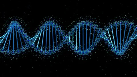 DNA molecule Stock Footage 92536019