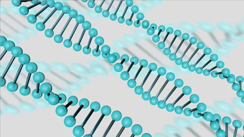 DNA Molecule Stock Footage 169697091