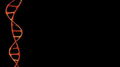 DNA molecule gene isolated. Stock Illustration