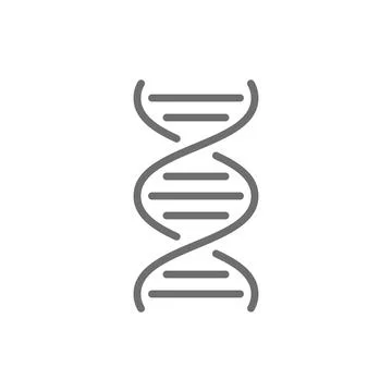 DNA molecule grey icon. Isolated on white background Stock Illustration