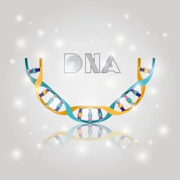 Dna molecule half circle structure pattern Illustrazione stock