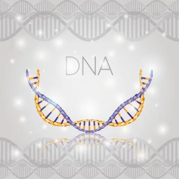 Dna molecule half circle structure pattern イラスト素材