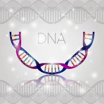 Dna molecule half circle structure pattern Illustrazione stock