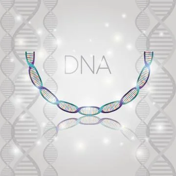 Dna molecule half circle structure pattern Illustrazione stock