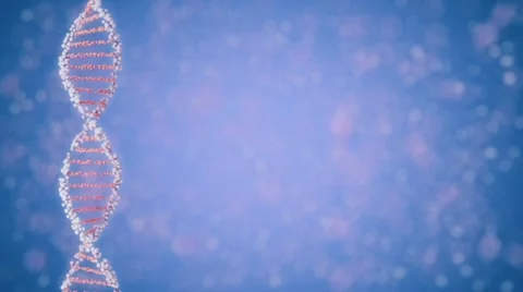 DNA molecule HD Stock Footage 17498331
