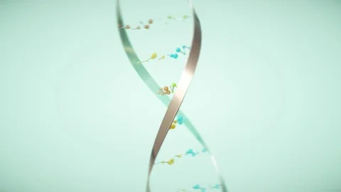 DNA molecule helix. D Stock Footage 72981224