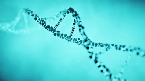 DNA molecule helix. Stock Footage 47331038