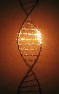 DNA Molecule Helix Genetic Code Stock Illustration
