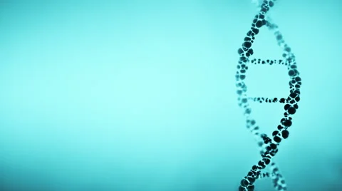 DNA molecule helix, loop. Stock Footage 47330000