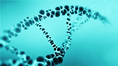DNA molecule helix, loop. Stock Footage 47330930