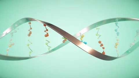 DNA molecule helix. Loop. A Stock-Footage 72981285