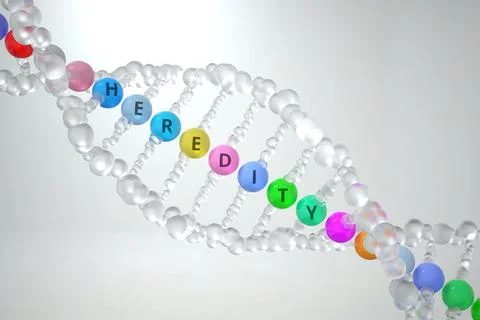 DNA molecule with HEREDITY text. 3D rendering Stockillustratie