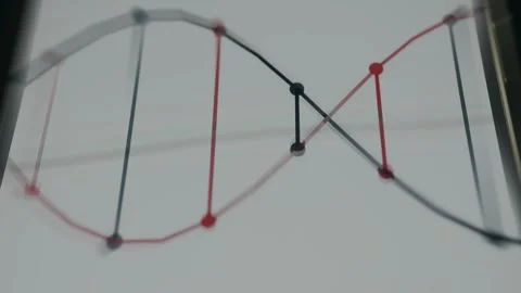 DNA molecule, Human genetics illustration Stock Footage 335889409