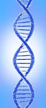 DNA molecule Stock Illustration