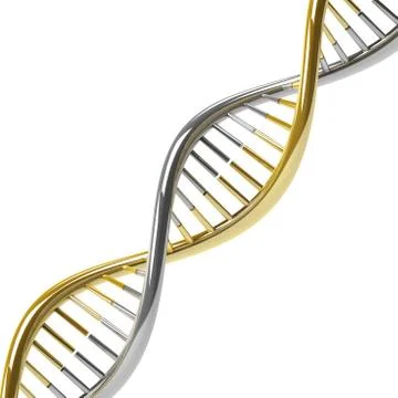 DNA molecule Stock Illustration