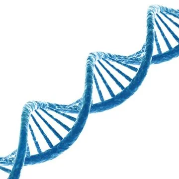 DNA molecule Stock Illustration