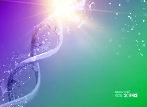 The Dna molecule Stock Illustration