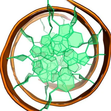 DNA molecule Stock Illustration