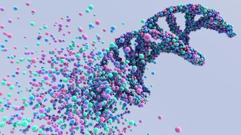 DNA Molecule Illustrazione stock