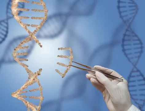 The DNA molecule Stock Illustration