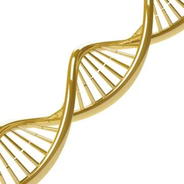 DNA molecule Stock Illustration