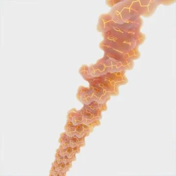 DNA molecule Stock Illustration