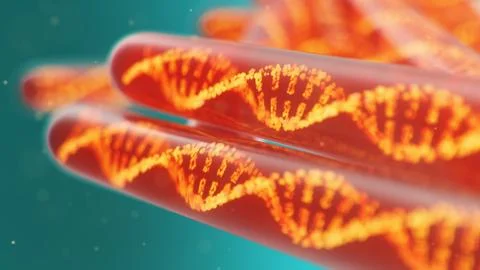 DNA molecule, its structure. Concept human genome. DNA molecule with modified 스톡 일러스트