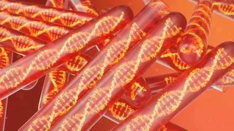 DNA molecule, its structure. Concept human genome. DNA molecule with modified 스톡 일러스트