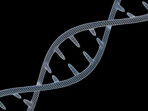 DNA molecule is located in front of a black background. Abstract collage. 3D Ilustração Stock