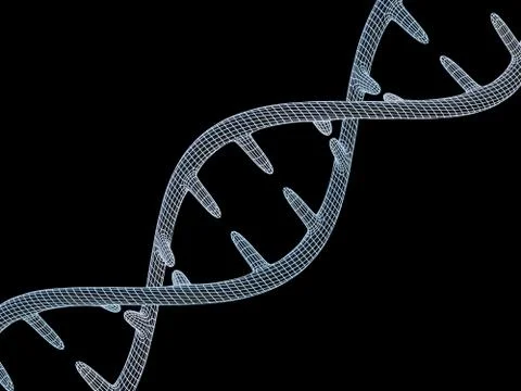 DNA molecule is located in front of a black background. Abstract collage. 3D Illustrazione stock