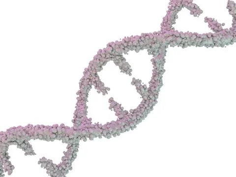 DNA molecule is located in front of a white background. Abstract collage. 3D Ilustração Stock