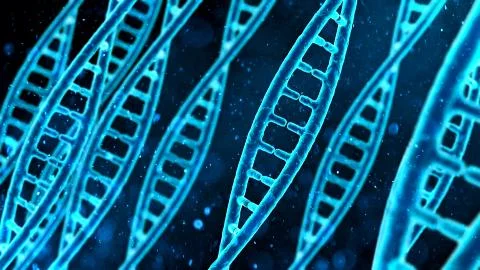 DNA molecule macro, blue string on screen, biological research, genes Stock Photos