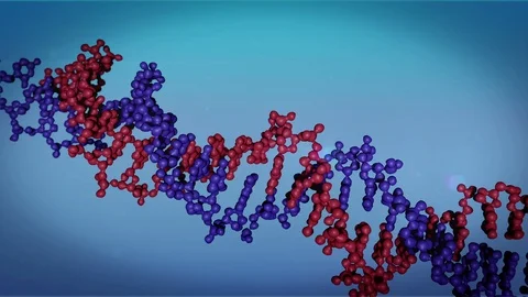 DNA Molecule Model Stock Footage 101912273