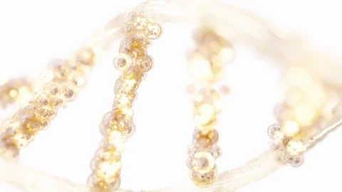 DNA molecule from particles animation. Stock Footage 256219094